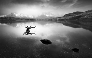 yury-pustovoy-russia-the-inhabitants-of-twilight-patagonia-monochrome-psa-gold-monochrome